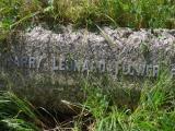 image of grave number 909089